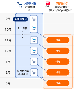 条件達成月翌々月から5カ月間、ショッピングご利用金額の20％（最大1,000pt/月）付与